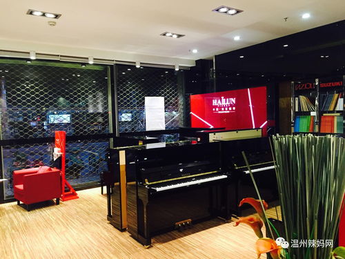 氣質(zhì)篇 樂器