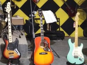 雅藝琴行加盟 加盟費用 招商代理條件 電話 中國教育招商網