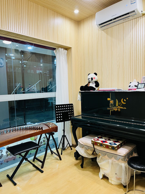 廣州彩紅熊琴行