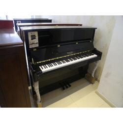 鋼琴-要買質(zhì)量好的鋼琴-當(dāng)選維也納琴行