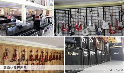 【文化傳媒】黑森林樂隊誠邀有夢之士一起加入黑森林琴行