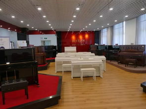 重磅 海倫營口廠區經營進展順利,東北大地奏響鋼琴制造事業強音