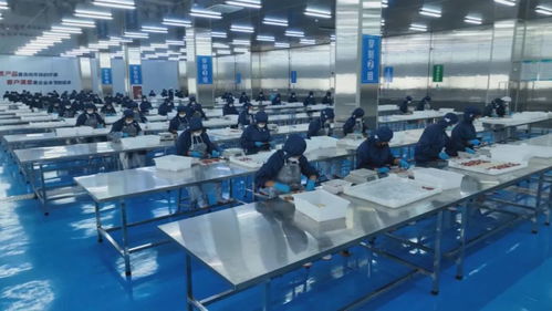 一線調(diào)研 秸稈變?nèi)?助力 牛 經(jīng)濟(jì)一路走紅