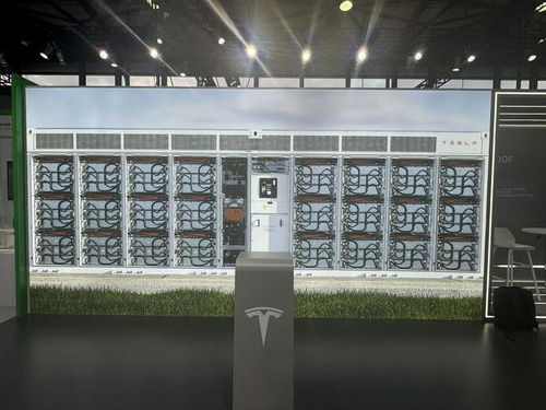 一線 碳博會 劇透 來了 實探特斯拉 全明星 產品 氫能展臺 爭奇斗艷