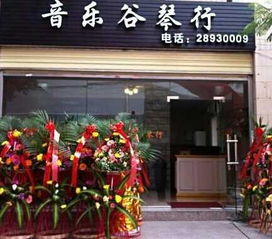 永春鋼琴,福建優惠的鋼琴供應