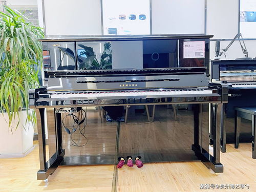 雅馬哈鋼琴 貴陽 體驗中心博藝琴行新年致辭