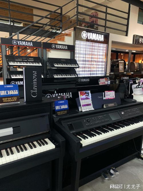 昆明哪里有電鋼琴賣