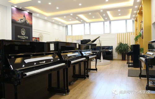 尚典琴行 雙旦預售,世界名牌鋼琴工廠價內購,分期購 零 元學,豪禮任性送