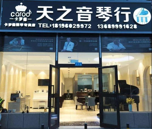 天之音琴行加盟費多少錢 加盟條件 加盟電話 中教招商網