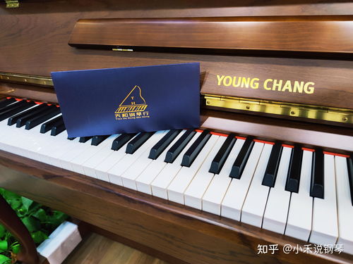 天津在哪里買鋼琴比較專業