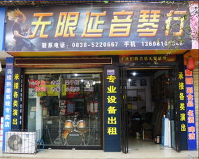 廣漢無限延音琴行