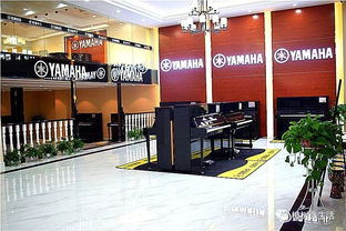 驚爆 這家琴行新校區開業,只要39元就能搶購原價400元的四節精品體驗課程