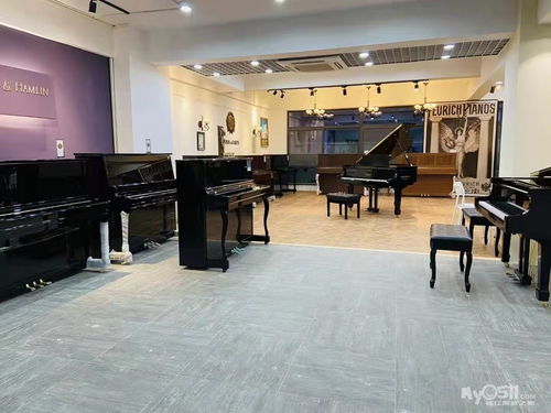 五樂琴行鋼琴精品小課招生中