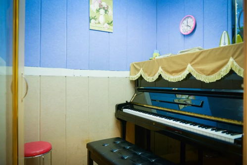 超值 各類進口精品原裝二手鋼琴平民價,要買琴的你肯定要看看了