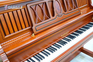 圖 學(xué)鋼琴 吉他 古箏到永川永欣琴行 重慶文體培訓(xùn)