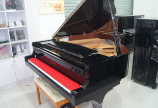 二手鋼琴的維護,二手鋼琴的維護生產廠家,二手鋼琴的維護價格