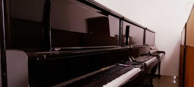 石家莊世紀鋼琴行,專業二手鋼琴銷售,精品貨源,讓您選到更好的鋼琴
